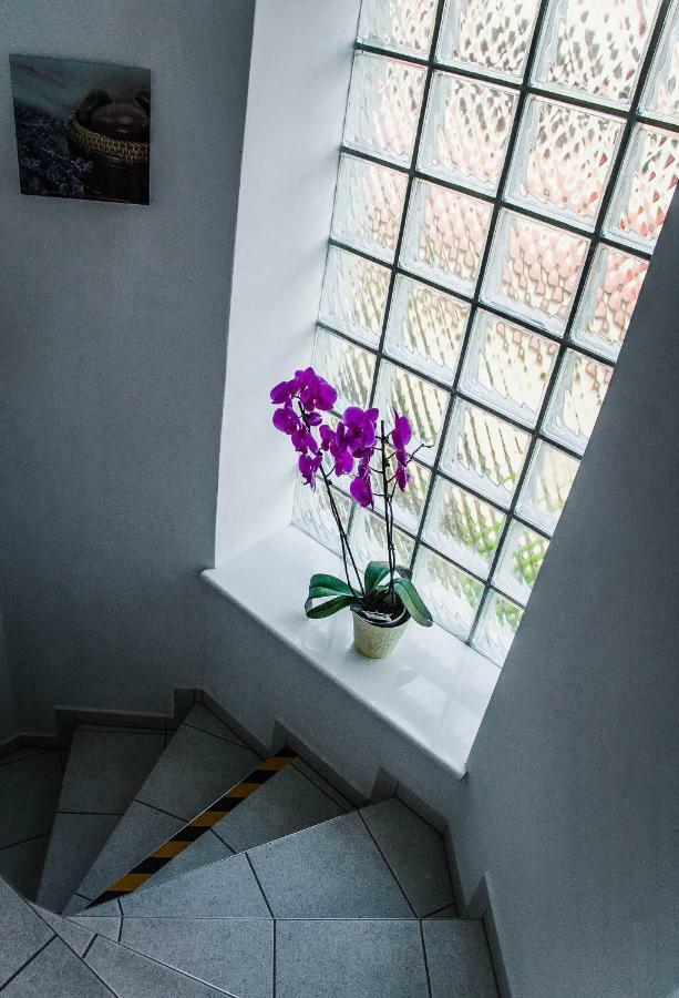 Villa Tara Gdansk Dış mekan fotoğraf